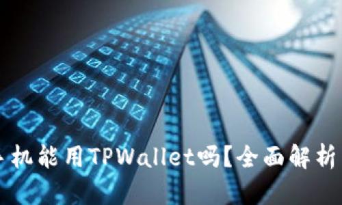 苹果手机能用TPWallet吗？全面解析与指南