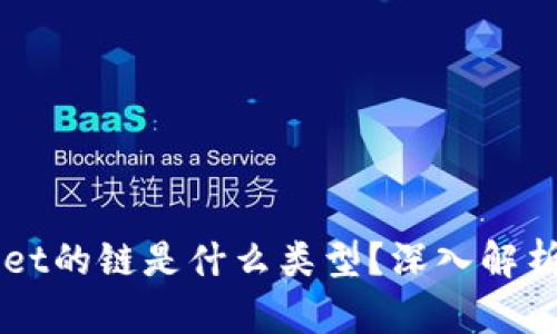 TPWallet的链是什么类型？深入解析与应用