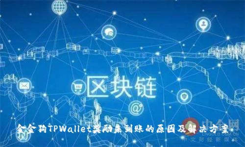 金金狗TPWallet奖励未到账的原因及解决方案