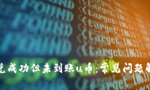 TP币安钱包闪兑成功但未到账u币：常见问题解析与解决方案