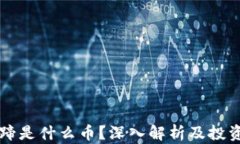 虚拟币马蹄是什么币？深入解析及投资前景分析