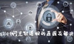 tpwallet闪兑被退回的原因及解决方案
