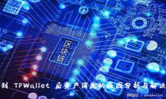 提币到 TPWallet 后资产消失的原因分析与解决方案