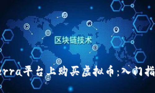 如何在Terra平台上购买虚拟币：入门指南与技巧