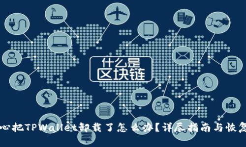 不小心把TPWallet卸载了怎么办？详尽指南与恢复方案