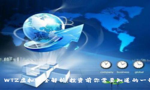 : WTZ虚拟币全解析：投资前你需要知道的一切