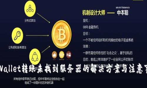TPWallet转账未找到服务器的解决方案与注意事项