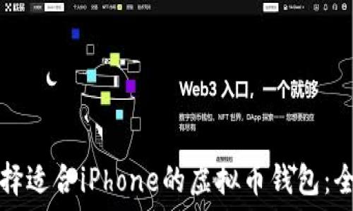   
如何选择适合iPhone的虚拟币钱包：全面指南