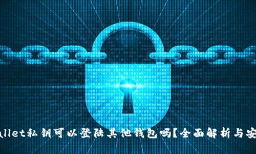 : tpwallet私钥可以登陆其他钱包吗？全面解析与安全指南