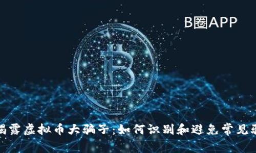 : 揭露虚拟币大骗子：如何识别和避免常见骗局