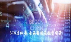 BTN虚拟币：全面解析及投资前景