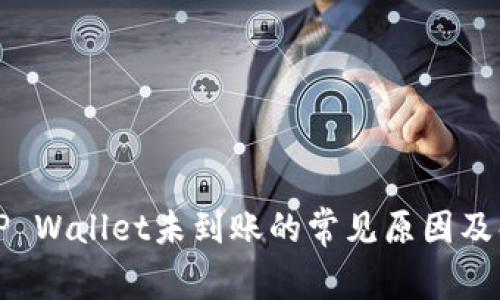 提币到TP Wallet未到账的常见原因及解决方案