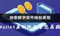 提币到TP Wallet未到账的常见原因及解决方案