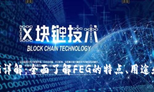 虚拟币FEG详解：全面了解FEG的特点、用途和投资风险