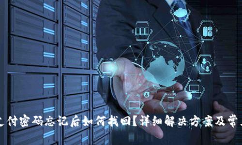 TPWallet支付密码忘记后如何找回？详细解决方案及常见问题解答