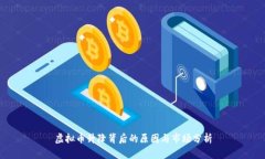 虚拟币升降背后的原因与市场分析