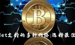 比较TPWallet支持的多种网络：选择最佳网络的指南