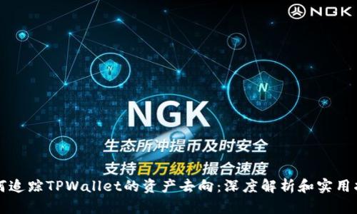 如何追踪TPWallet的资产去向：深度解析和实用指南