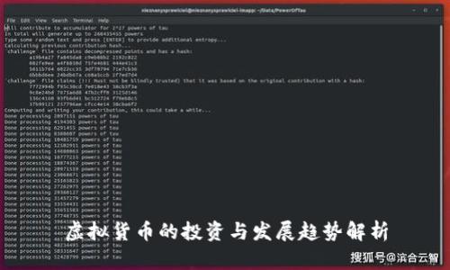虚拟货币的投资与发展趋势解析