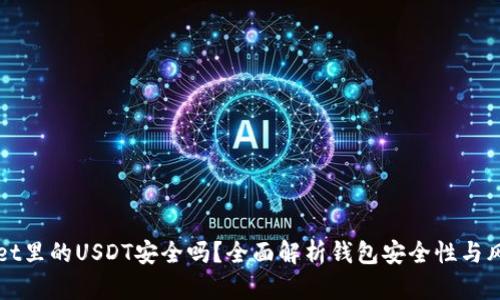 TPWallet里的USDT安全吗？全面解析钱包安全性与风险管理