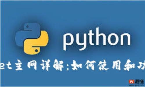 TPWallet主网详解：如何使用和功能介绍