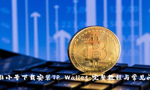 如何在非小号下载安装TP Wallet：完整教程与常见问题解答