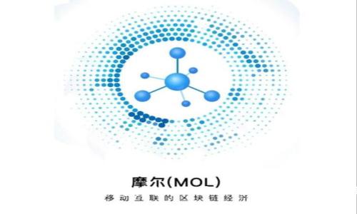虚拟币钱包地址样式详解：不同币种的特点与选择指南