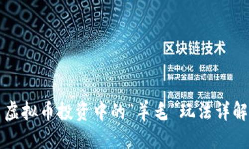 虚拟币投资中的“羊毛”玩法详解