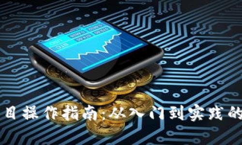 虚拟币项目操作指南：从入门到实践的全面解析