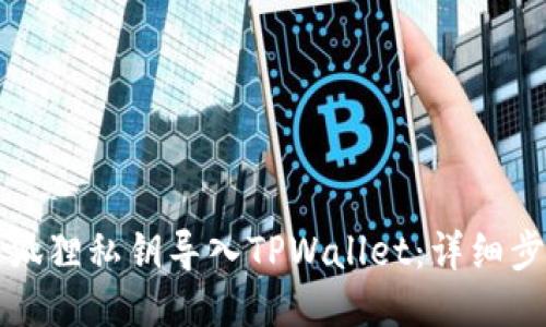 如何将小狐狸私钥导入TPWallet：详细步骤与指南