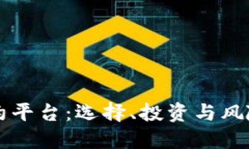 虚拟币合约平台：选择、投资与风险全面指南