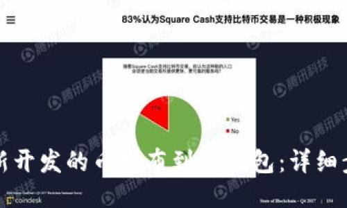 如何将新开发的币发布到TP钱包：详细步骤指南