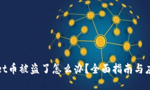 TPWallet币被盗了怎么办？全面指南与应对措施