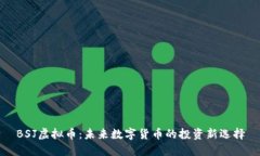 BSJ虚拟币：未来数字货币的投资新选择