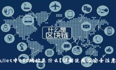 tpwallet中BSC地址是什么？详解使用及安全注意事项