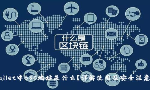 tpwallet中BSC地址是什么？详解使用及安全注意事项