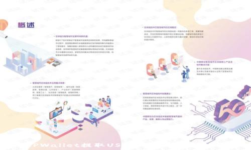   
如何从TPWallet提取USDT到货币账户的详细指南