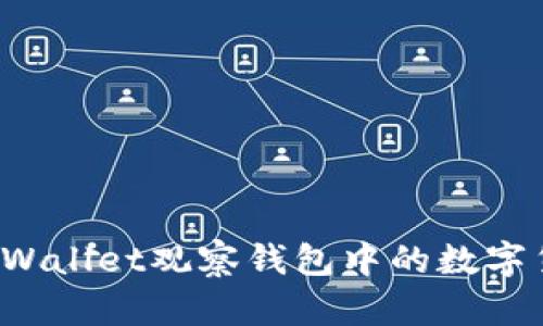如何将TPWallet观察钱包中的数字货币转出？