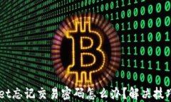     TPWallet忘记交易密码怎么办？解决技巧与步骤
