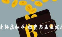 云端青轴虚拟币：投资与未来发展分析