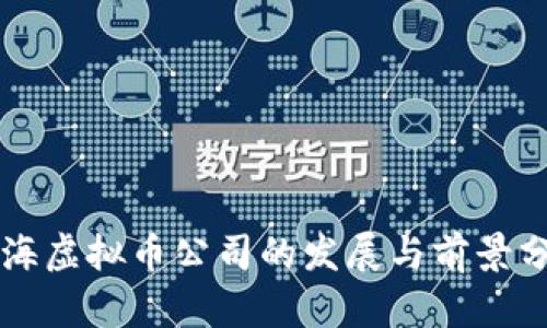 上海虚拟币公司的发展与前景分析