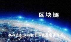 揭阳虚拟币的投资与发展前景分析