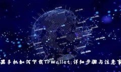 苹果手机如何下载TPWallet：详细步骤与注意事项