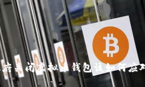 政府关闭虚拟币钱包该如何应对？