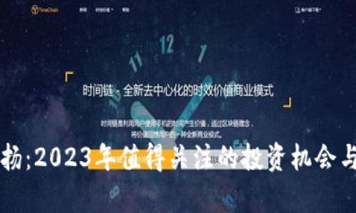 虚拟币波扬：2023年值得关注的投资机会与市场分析