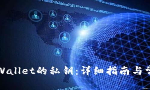 如何查看TPWallet的私钥：详细指南与常见问题解答
