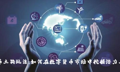 虚拟币土狗玩法：如何在数字货币市场中挖掘潜力与风险