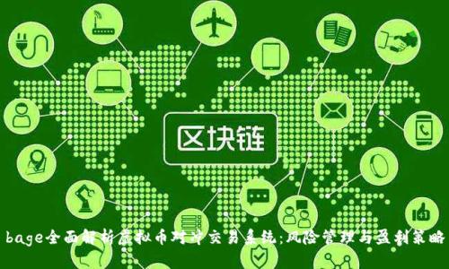 bage全面解析虚拟币对冲交易系统：风险管理与盈利策略