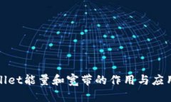 tpwallet能量和宽带的作用与应用解析