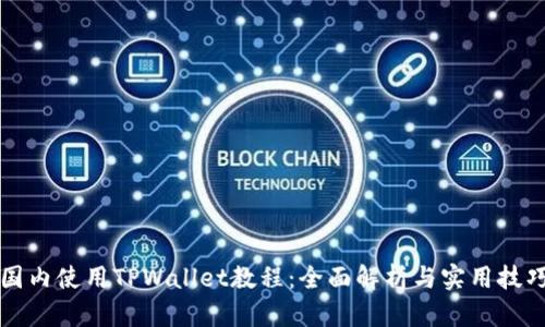 国内使用TPWallet教程：全面解析与实用技巧